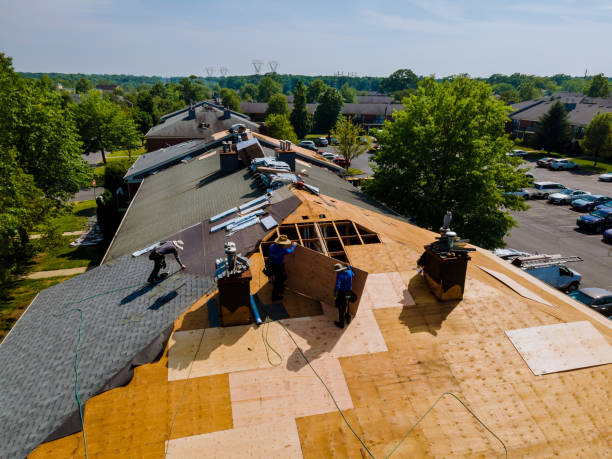 Quick and Trustworthy Emergency Roof Repair Services in Diberville, MS
