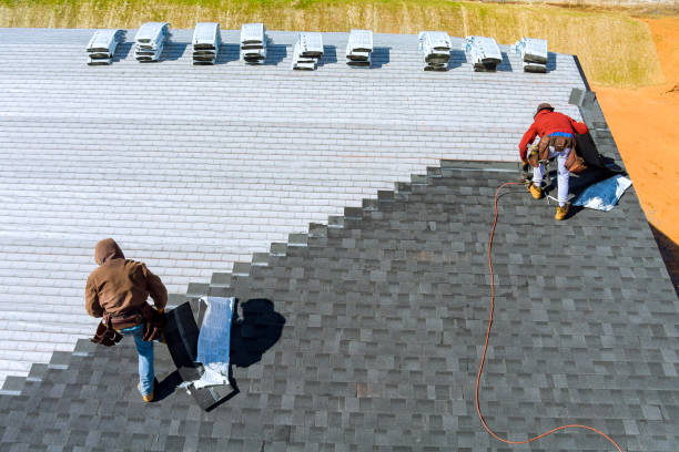 Best Roof Gutter Cleaning  in Diberville, MS