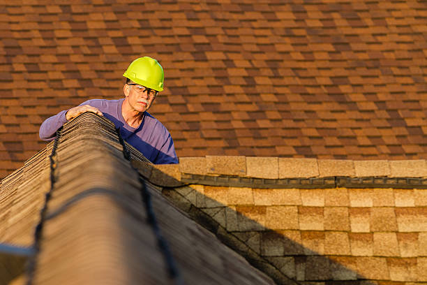 Best Roof Gutter Cleaning  in Diberville, MS